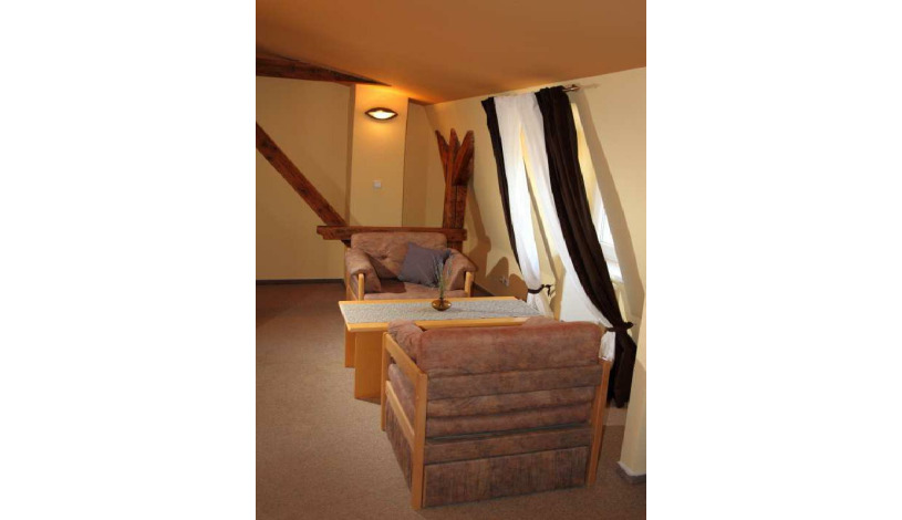 Hotel Zámeček Čeladná Čeladná - Dvojlůžkový s výhledem na hory