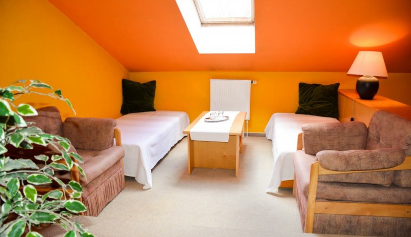 Hotel Zámeček Čeladná Čeladná - Dvojlůžkový se šikmým podhledem , sprcha