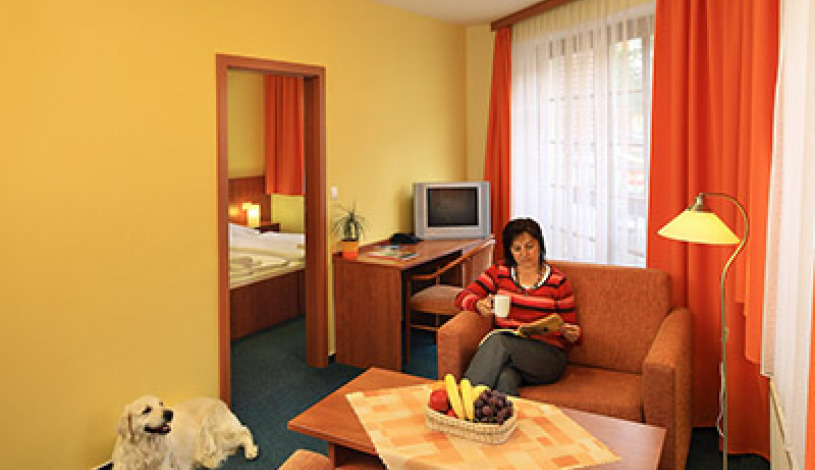 Hotel Záviš z Falkenštejna Hluboká nad Vltavou