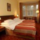 Двухместный номер - Hotel Villa Praha