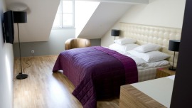 The Icon Hotel & Lounge Praha - Dvoulůžkový pokoj s manželskou postelí nebo oddělenými postelemi