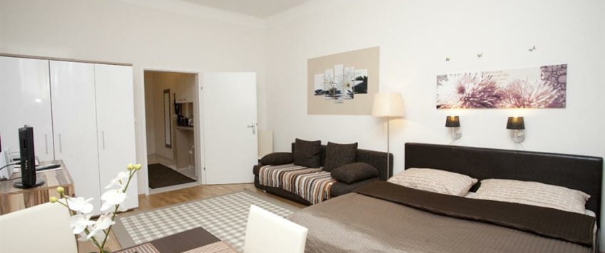 Apartment Jahngasse Wien - Apt 22286