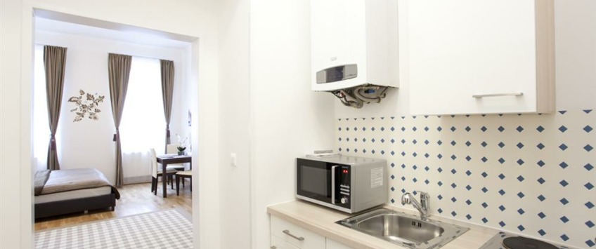 Apartment Jahngasse Wien - Apt 22286