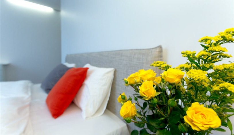 Apartment J. Jasinskio gatvė Vilnius - Apt 38045