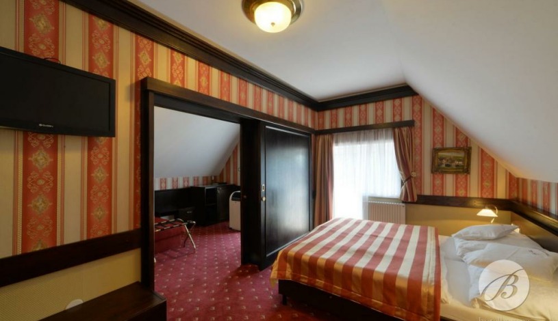 HOTEL BERG Doksy - DOUBLE ROOM + BALCONY