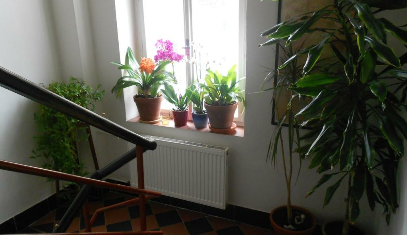 Pension Josefina Praha