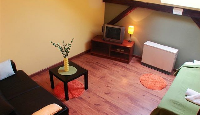 Apartment Józefa Dietla Kraków - Cracovia 7