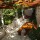 Apartment Jurja Klovića Dubrovnik - Apt 38237