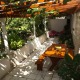 Apt 38237 - Apartment Jurja Klovića Dubrovnik