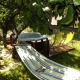 Apt 38237 - Apartment Jurja Klovića Dubrovnik