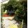 Apartment Jurja Klovića Dubrovnik - Apt 38237