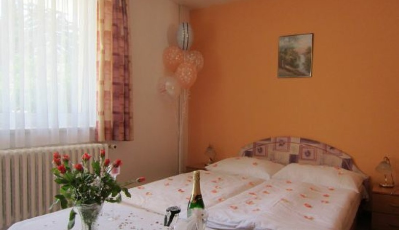 Hotel Kanárek Praha - Pokój 2-osobowy