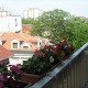 Apt 47964 - Apartment Kapetan Mišina 1 Beograd