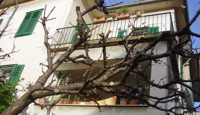 Apartment Kapićeva ulica Split - Apt 31504