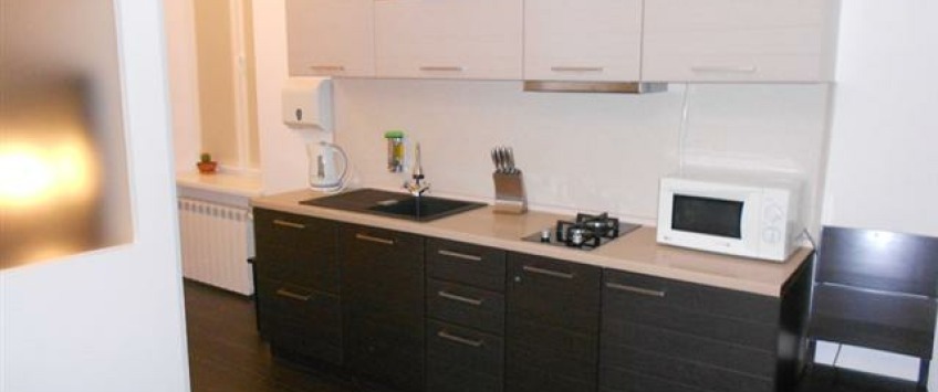 Apartment Khreshchatyk Kiev - Apt 28155