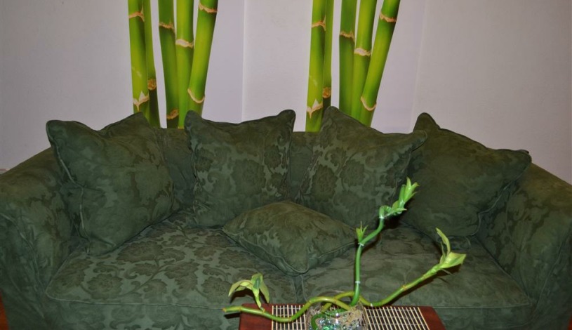 Apartment Khreshchatyk Kiev - Apt 28895