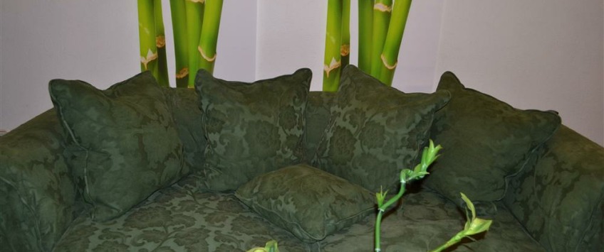 Apartment Khreshchatyk Kiev - Apt 28895