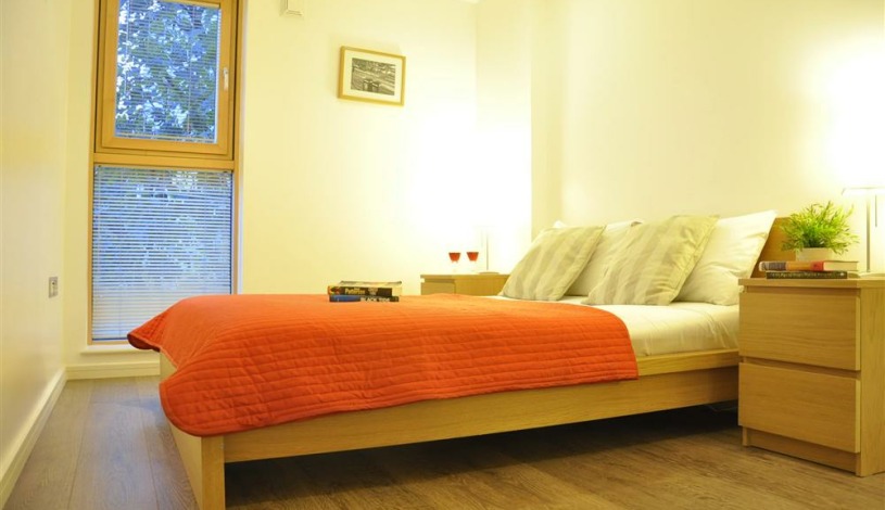 Apartment King James St London - Borough Road 20