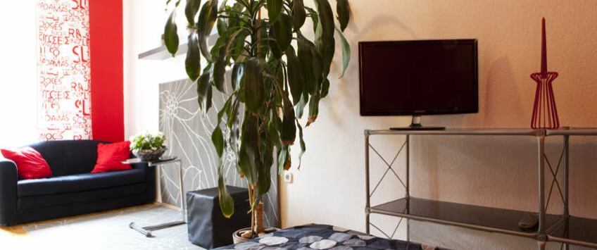 Apartment Király utca Budapest - Apt 24153