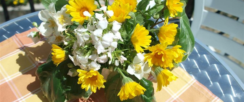 Apartment Klanci ulica Split - Apt 30478