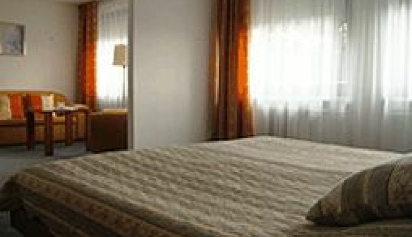 Hotel Klenor Praha - Pokoj pro 1 osobu, Apartmá (Suite)