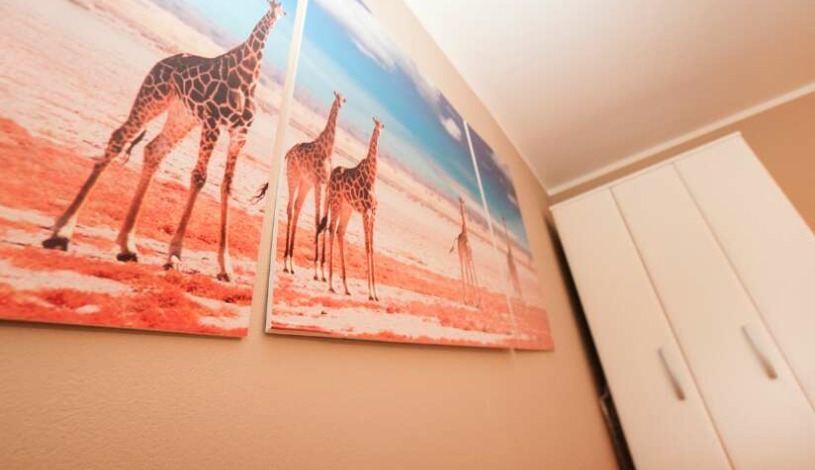 Apartment Kneginje Zorke Beograd - Apt 38283