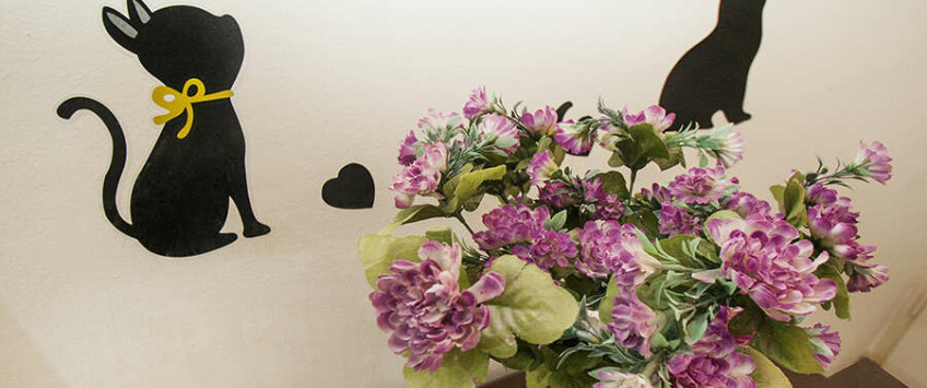 Apartment Kneza Mihaila Beograd