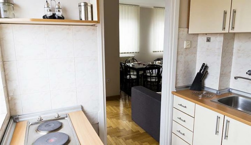 Apartment Knez Miletina Beograd - Apt 19563