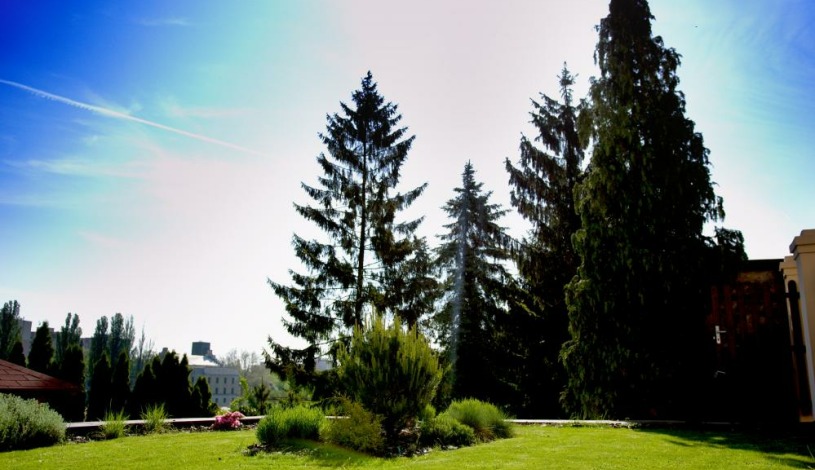 Pension Falconi *** Kolín