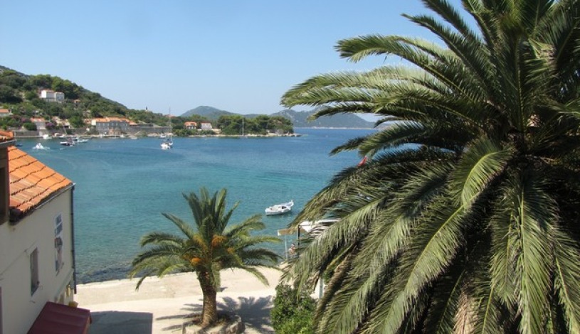Apartment Koločep Dubrovnik - Apt 37117