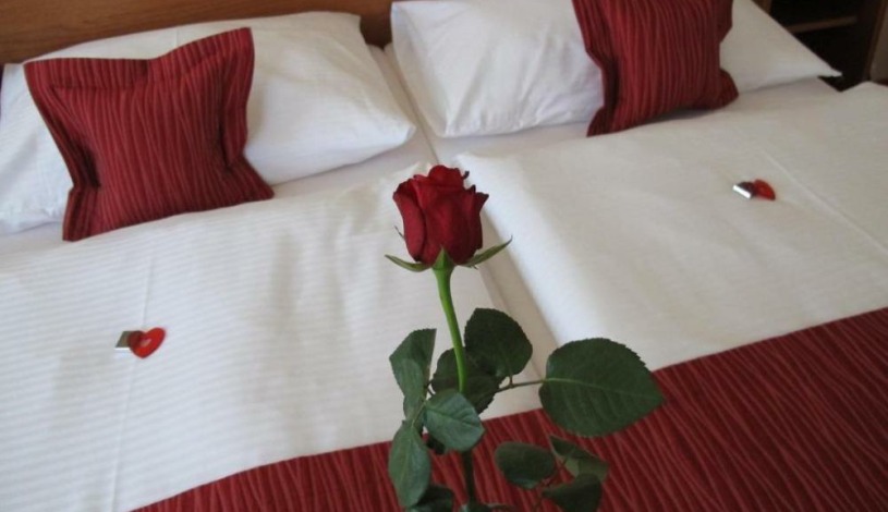 HOTEL THERESIA Kolín