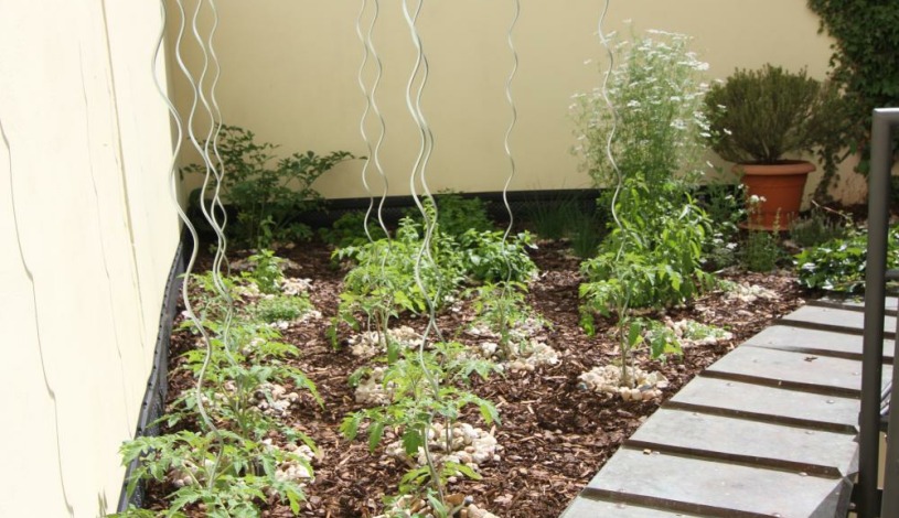 HOTEL THERESIA Kolín