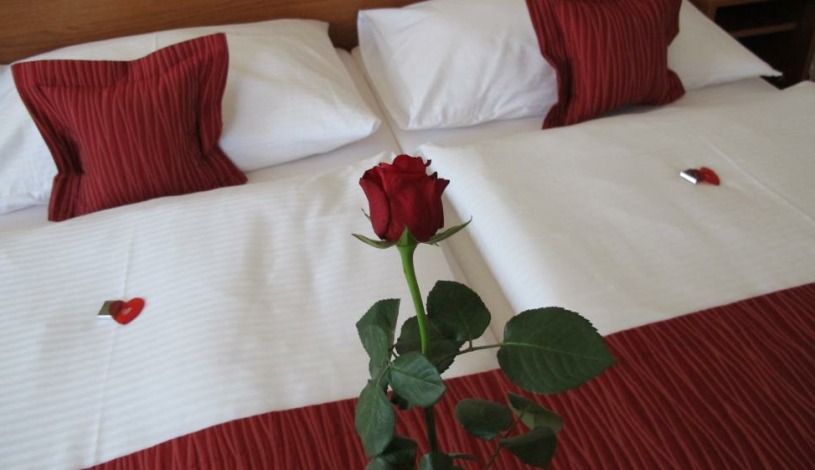 HOTEL THERESIA Kolín - Apartmán
