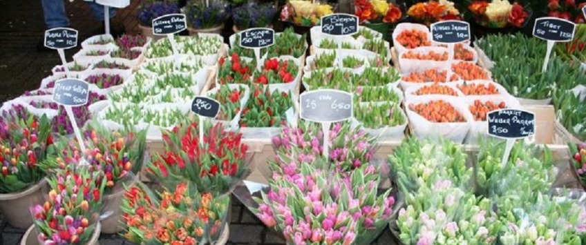 Apartment Korte Leidsedwarsstraat Amsterdam - Apt 27068