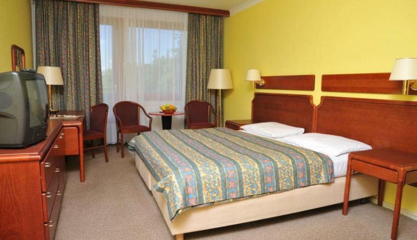 Hotel Krakonoš Three Stars Superior Mariánské Lázně - Jednolůžkový pokoj