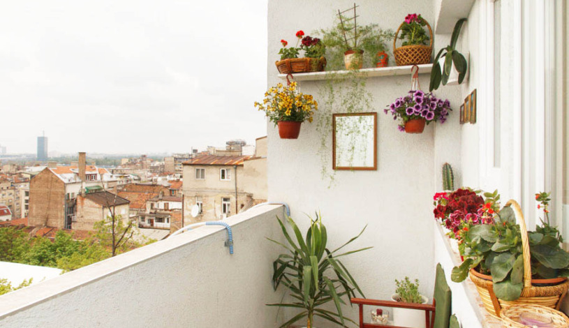 Apartment Kraljice Natalije 3 Beograd - Apt 48237