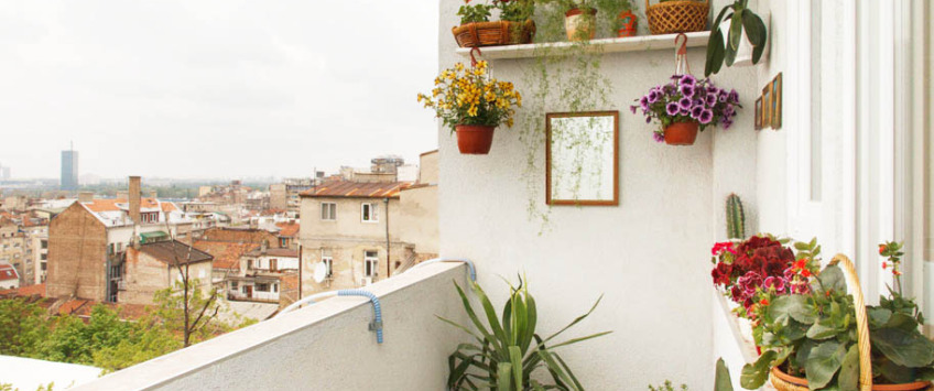 Apartment Kraljice Natalije 3 Beograd - Apt 48237