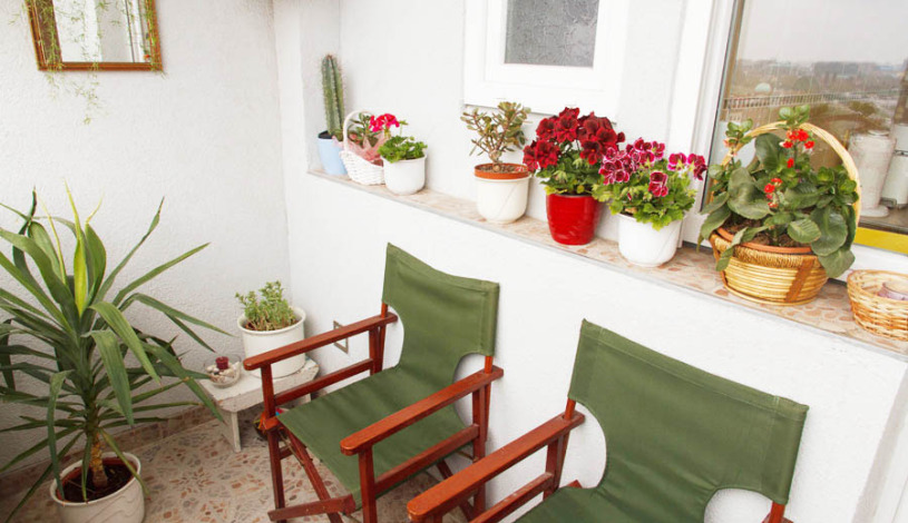 Apartment Kraljice Natalije 3 Beograd - Apt 48237