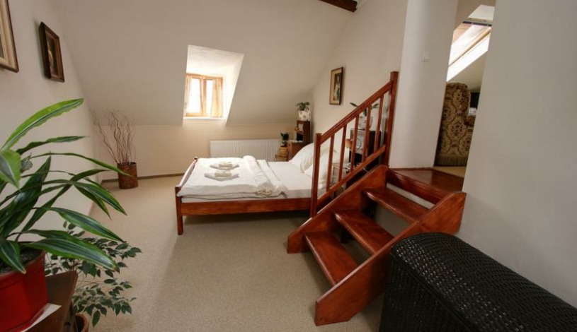 Hotel a restaurant Excellent Kroměříž Kroměříž - Apartman