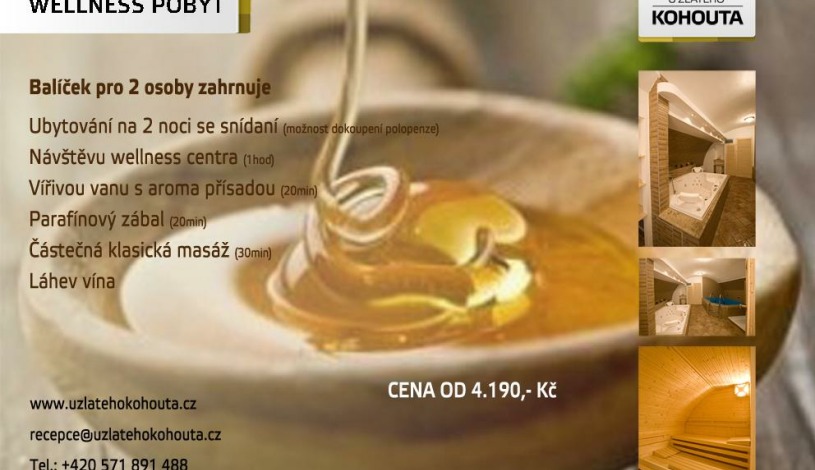 Hotel a hostel U Zlatého kohouta Kroměříž