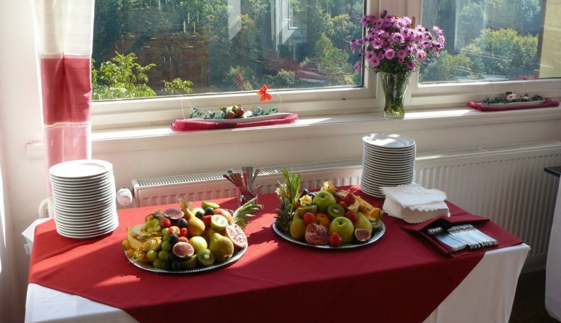 Hotel Vila U Varhanáře Kutná Hora