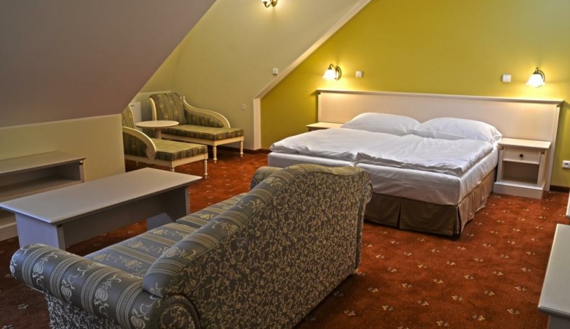 Spa Hotel Čajkovskij Palace Karlovy Vary