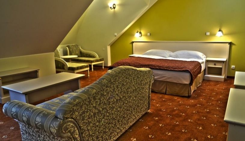 Spa Hotel Čajkovskij Palace Karlovy Vary