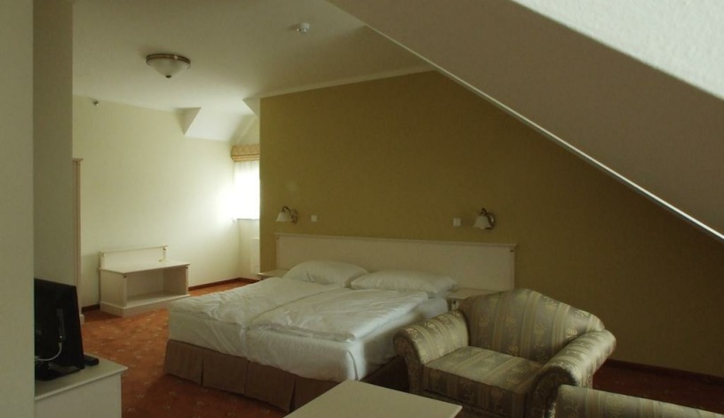 Spa Hotel Čajkovskij Palace Karlovy Vary