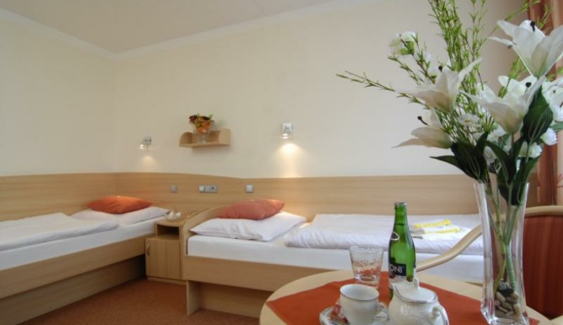 Spa Complex Curie Jáchymov - Dvoulůžkový pokoj I.A