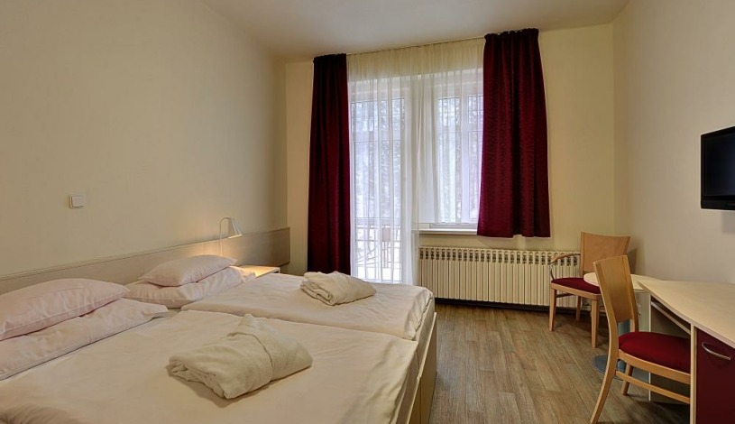 Pension Dagmar Jáchymov - Studio, Dvoulůžkový pokoj 1.A