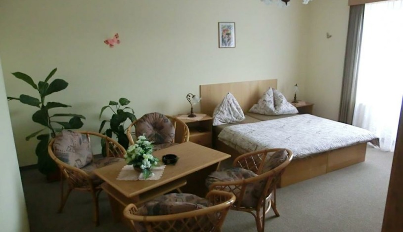 Pension Panorama Karlovy Vary - Dvoulůžkový