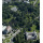 PARKHOTEL SOKOLOV Sokolov