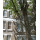 Apartment Laystall Street London - Chancery Lane B1