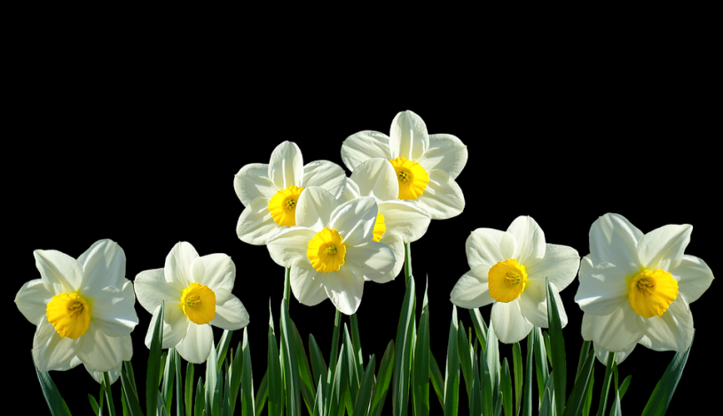 SPA HOTEL THERMAL**** Karlovy Vary